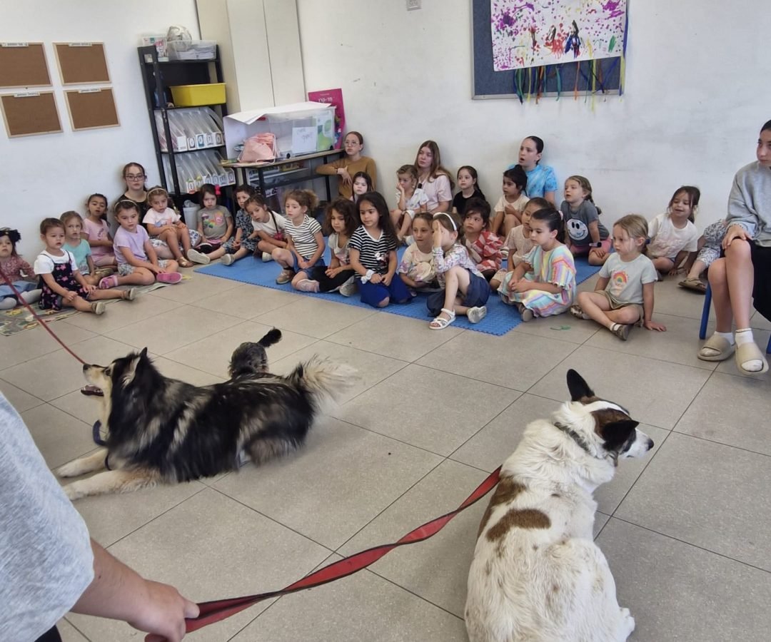 WhatsApp Image 2025-11-12 at 14.40.50 (1)