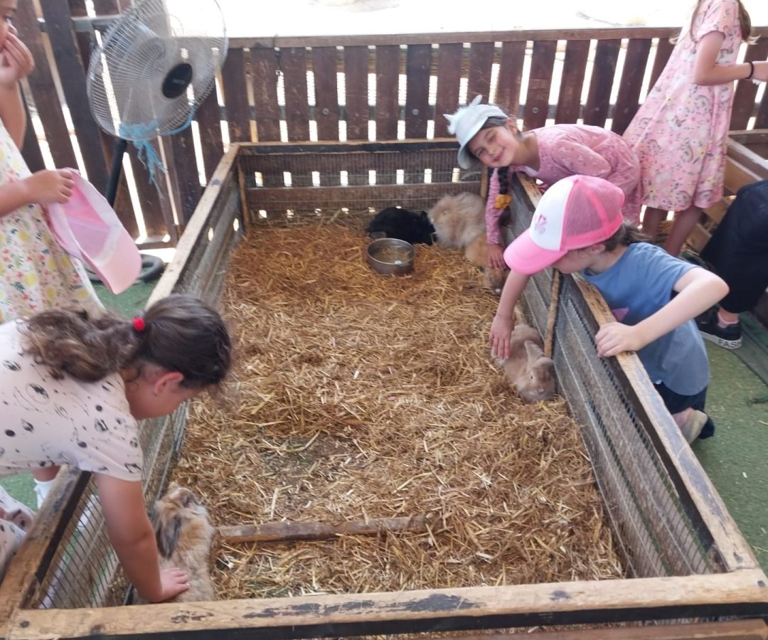 WhatsApp Image 2025-11-12 at 14.40.52