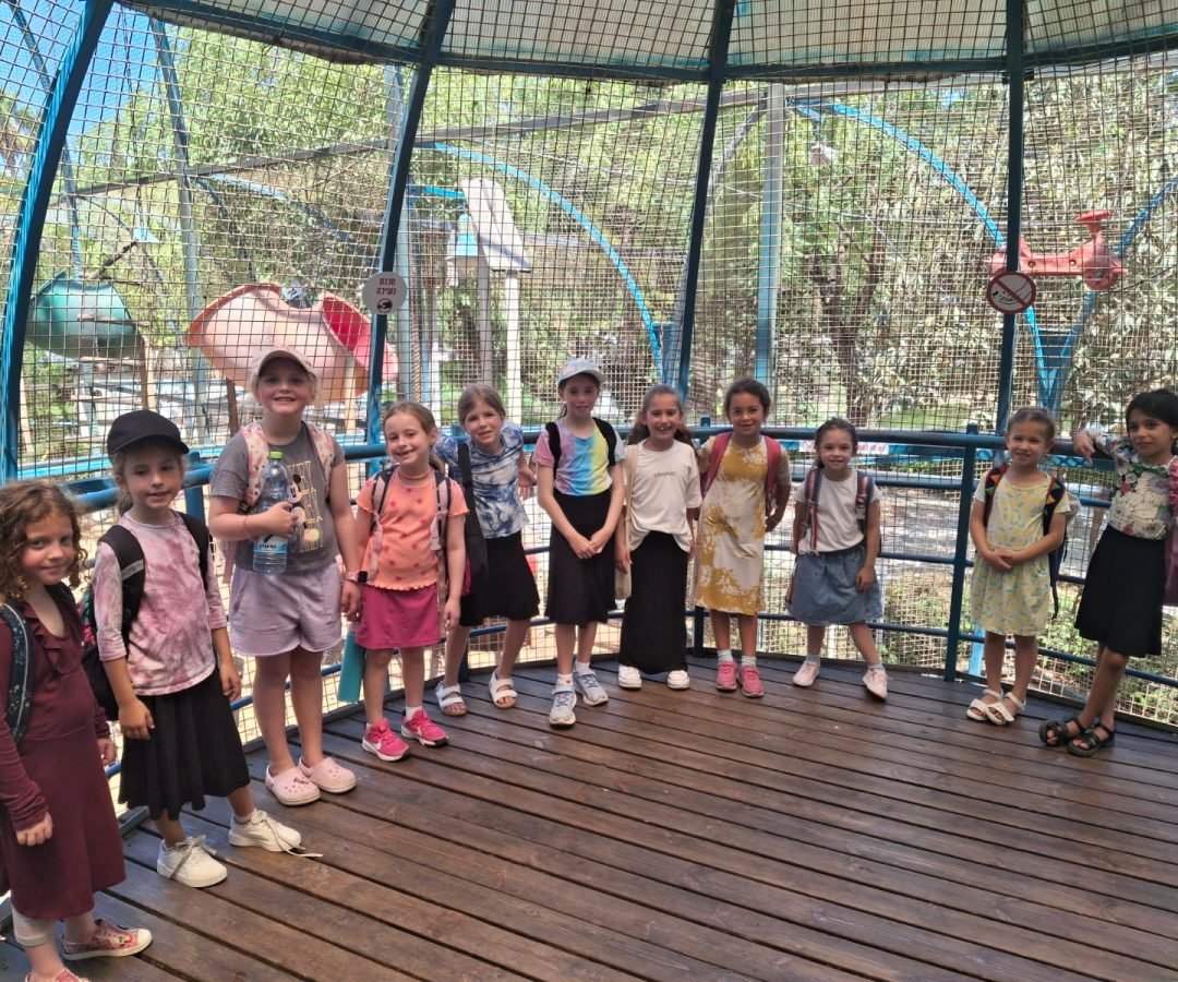 WhatsApp Image 2025-11-12 at 20.23.30